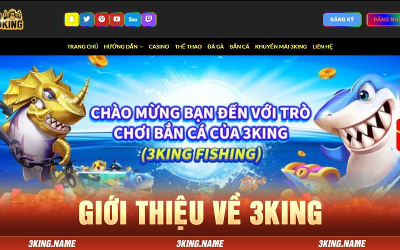 giới thiệu về nhà cái 3king